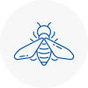 Bee Nest Removal Coseley