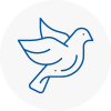 Bird Prevention Coseley