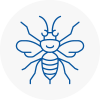 Coseley Hornet Nest Removals