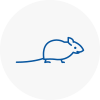 Mice Exterminators In Coseley