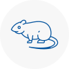 Rat Control Coseley