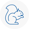 Coseley Rodent Removals