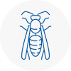 Coseley Wasp Nest Removal